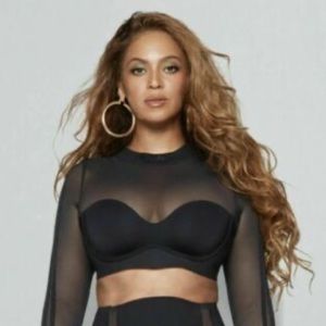Ivy Park Mesh Crop Top